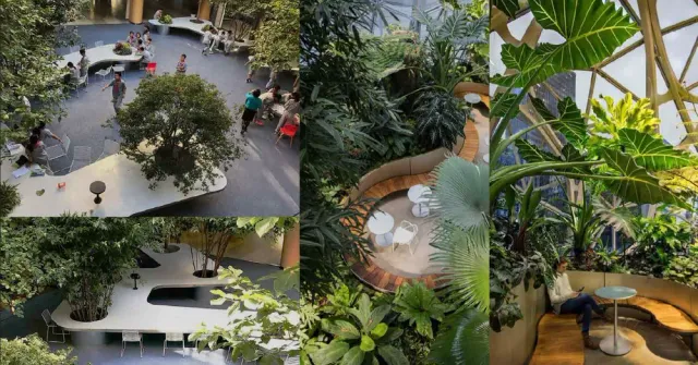 Cairo Business Park