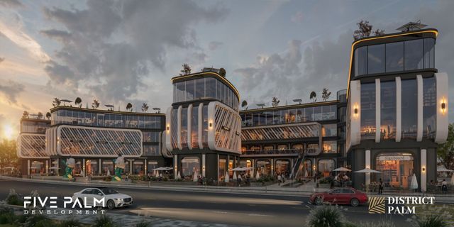 District Palm