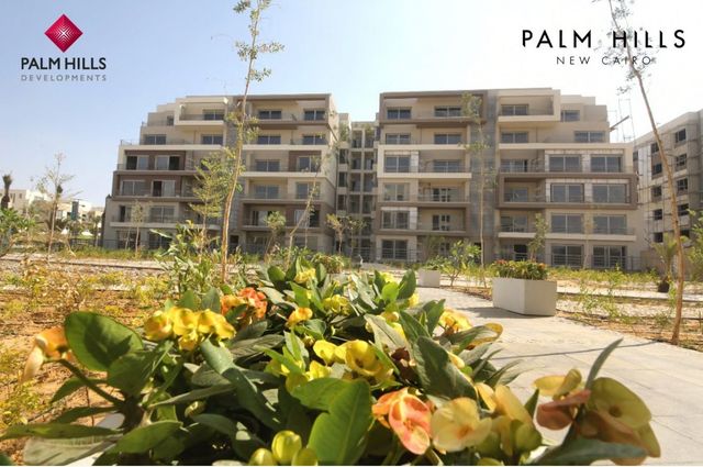 Palm Hills