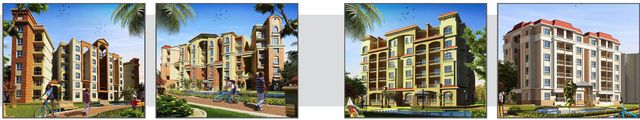 Degla Palms