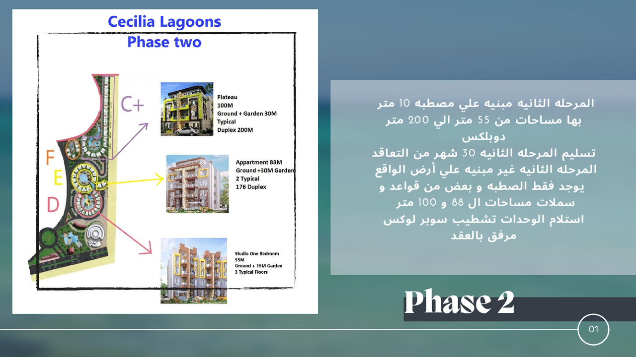 Cecilia%20Brochure.pdf - Page 13