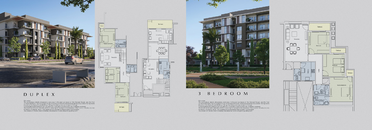 Begonia%20Brochure.pdf - Page 11