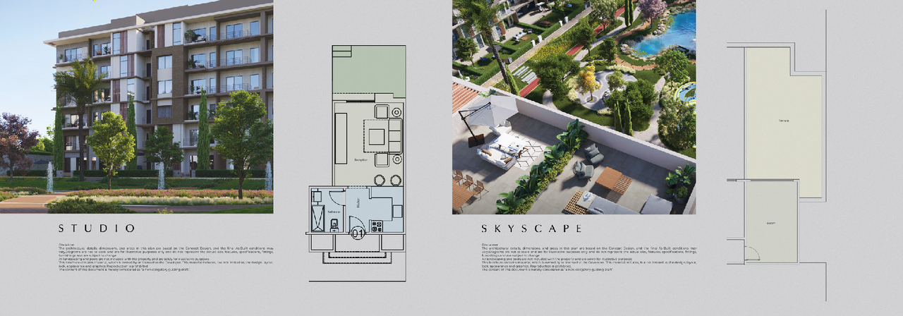 Begonia%20Brochure.pdf - Page 13