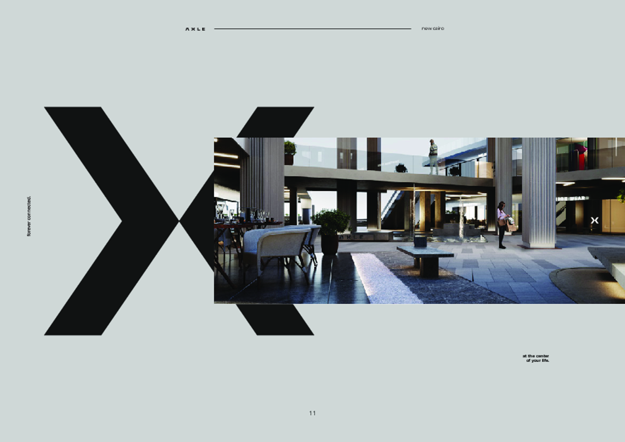 Axle%20Brochure.pdf - Page 11